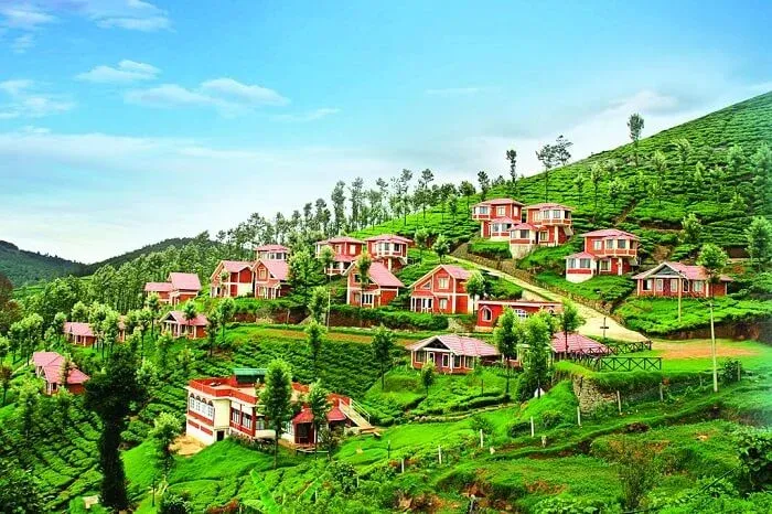 Ooty Hills